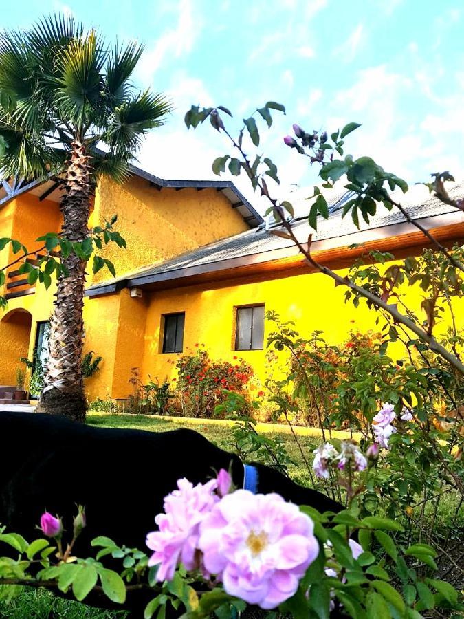 Casa Felice Casa de hóspedes La Serena Exterior foto