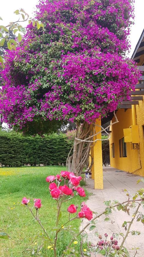 Casa Felice Casa de hóspedes La Serena Exterior foto