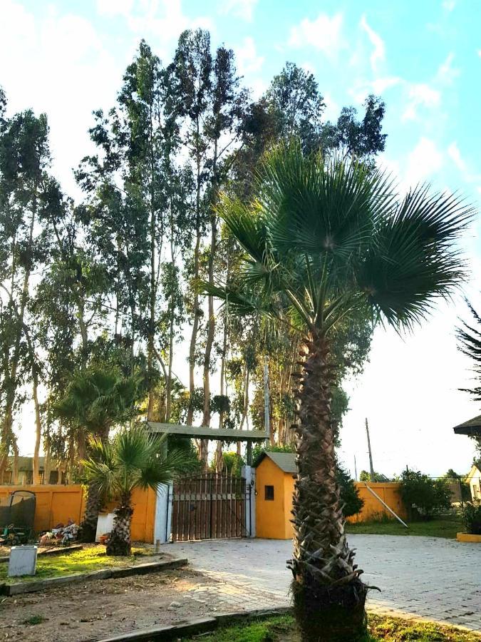 Casa Felice Casa de hóspedes La Serena Exterior foto