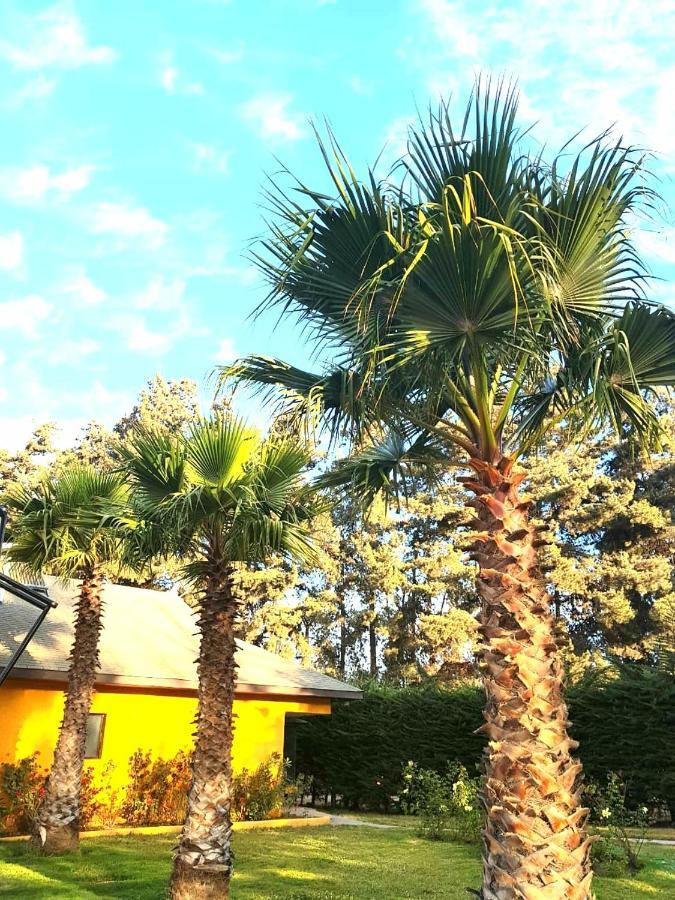 Casa Felice Casa de hóspedes La Serena Exterior foto