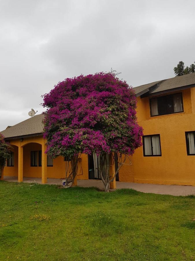 Casa Felice Casa de hóspedes La Serena Exterior foto