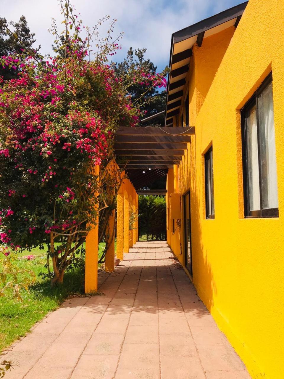 Casa Felice Casa de hóspedes La Serena Exterior foto